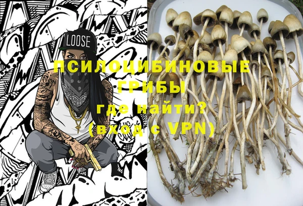 дмт Абинск