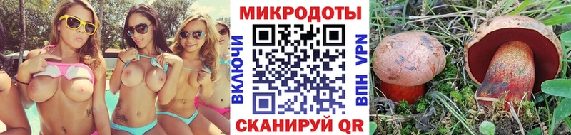 Псилоцибиновые грибы Magic Shrooms Яблоновский